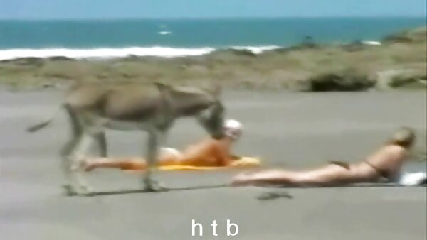 الديك شره الأم كايلا اجمل فيلم سكس محارم كوين يغوي مسمار قرنية