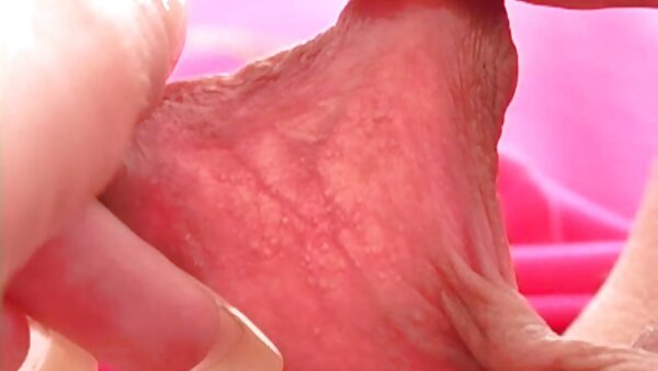 اسمحوا لي أن أتحقق من سروالك. كندرا شهوة افلام سكس محارم مترجم تويتر يعطي اللسان