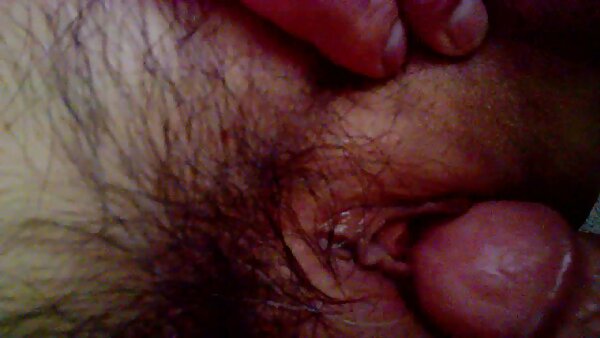 يحصل حفر الكلبة سمراء سلوتي مع الجسم والشكل محارم مترجم xnxx الجميل